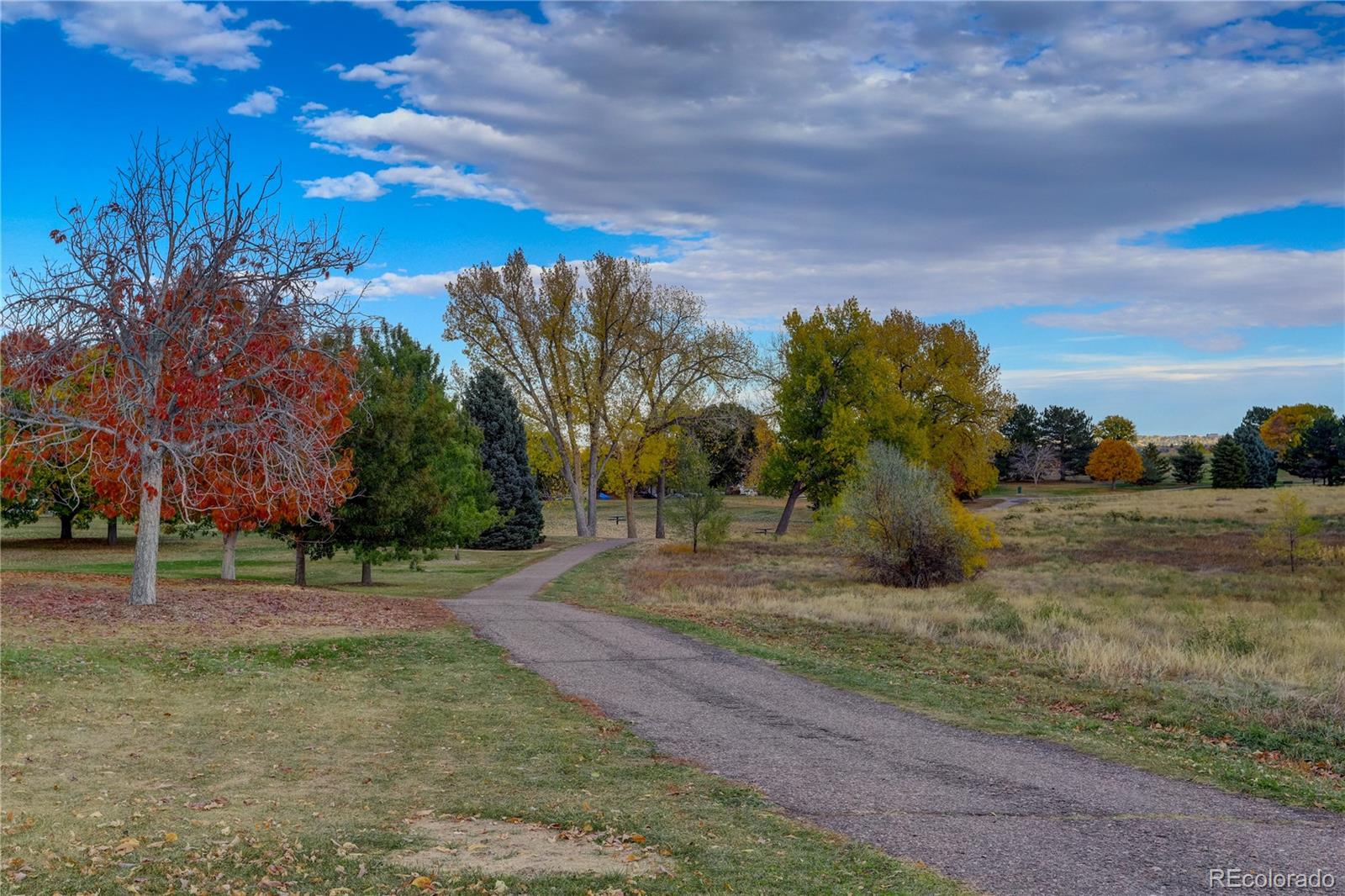 MLS Image #29 for 4618 s newton street,denver, Colorado