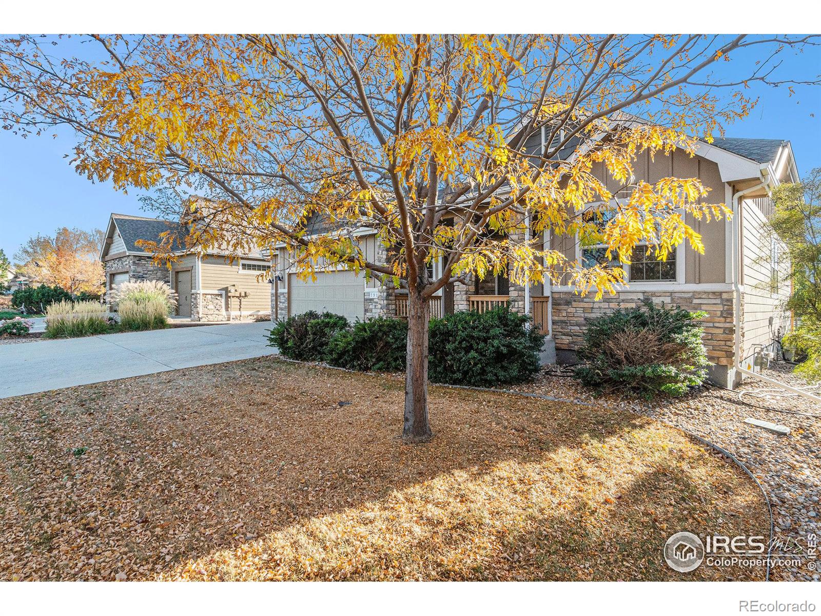 MLS Image #2 for 793  vista grande circle,fort collins, Colorado