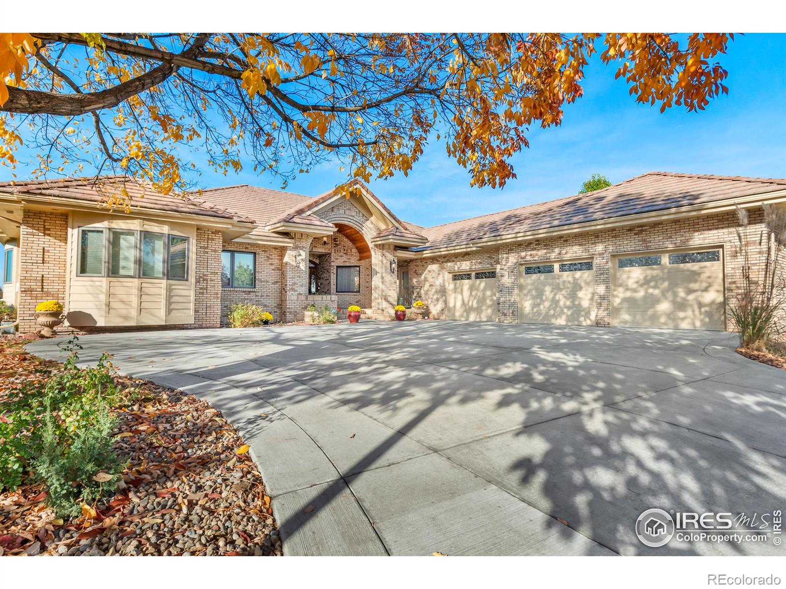 MLS Image #3 for 1030  harbor walk court,fort collins, Colorado