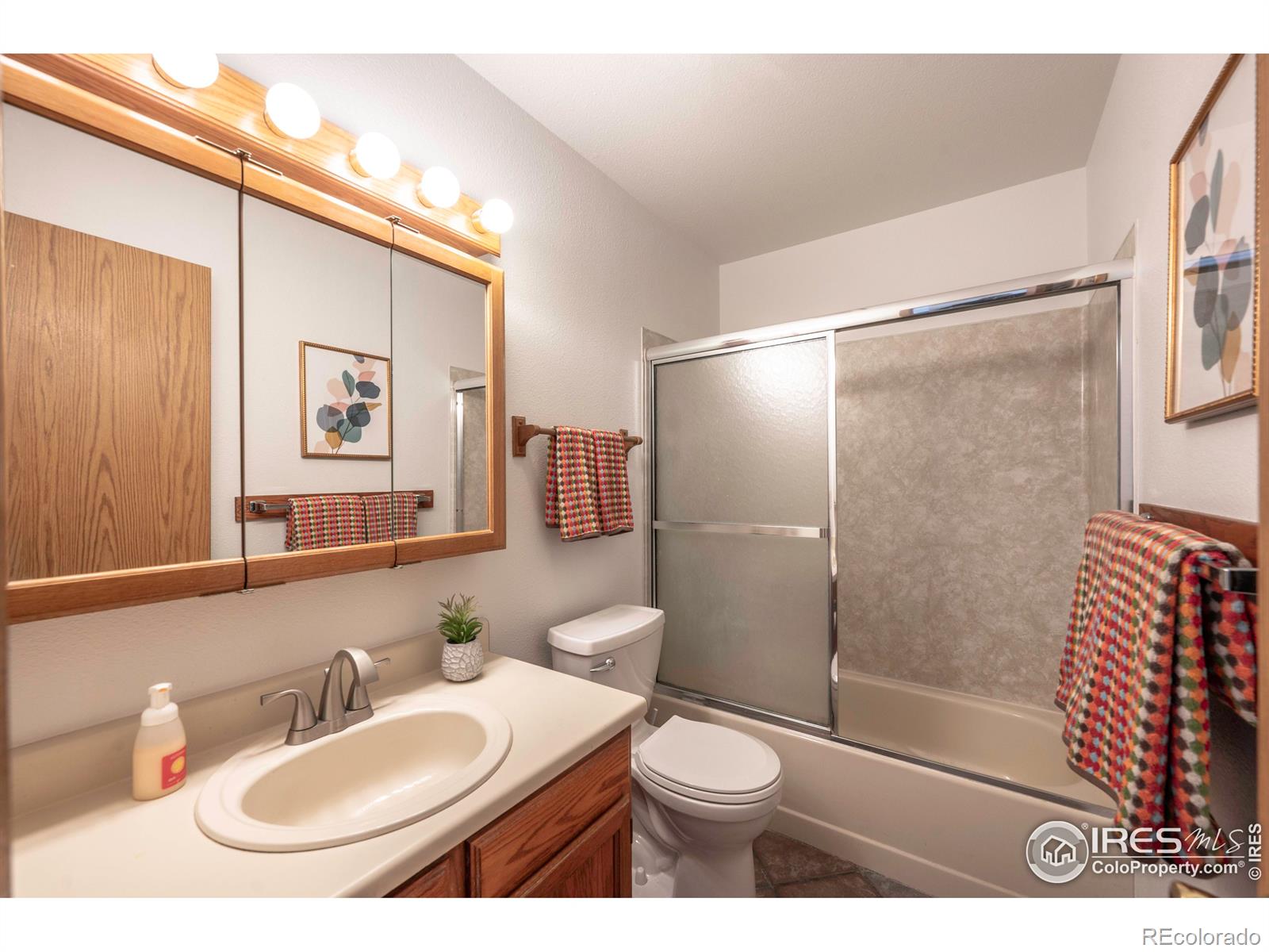 MLS Image #12 for 313  southridge place,longmont, Colorado