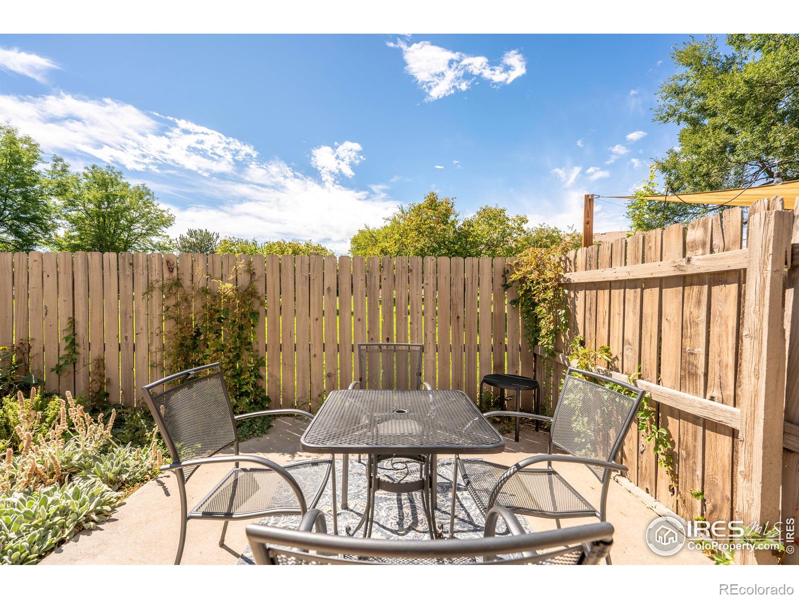 MLS Image #21 for 313  southridge place,longmont, Colorado