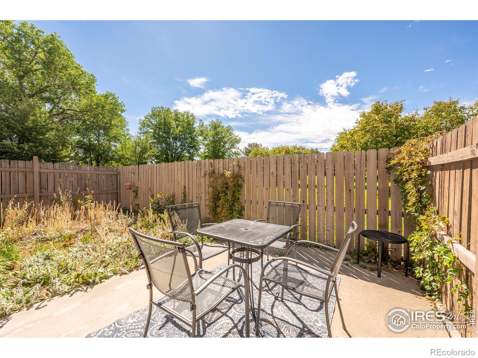 MLS Image #23 for 313  southridge place,longmont, Colorado