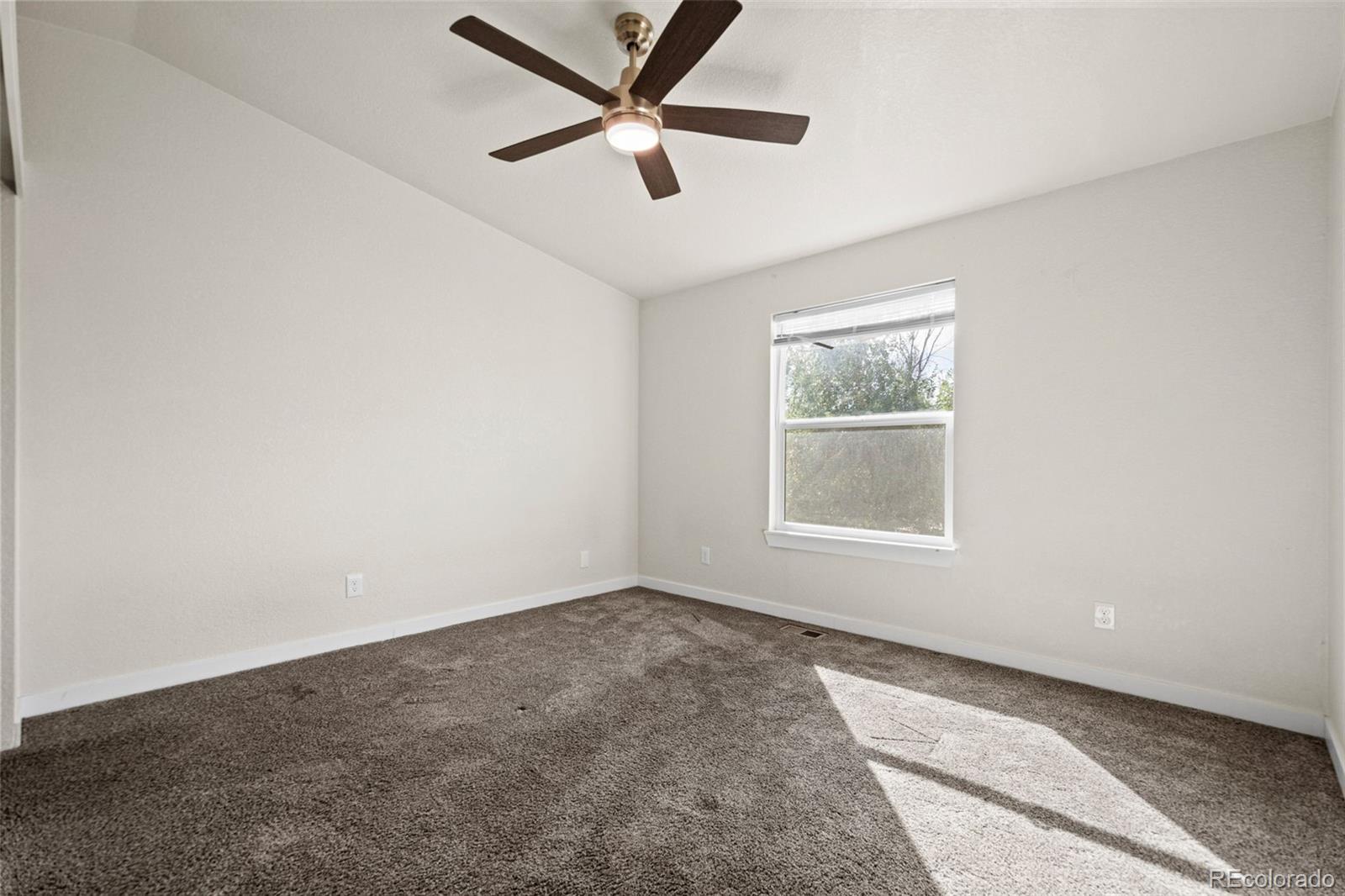 MLS Image #12 for 1543  feltham place,longmont, Colorado