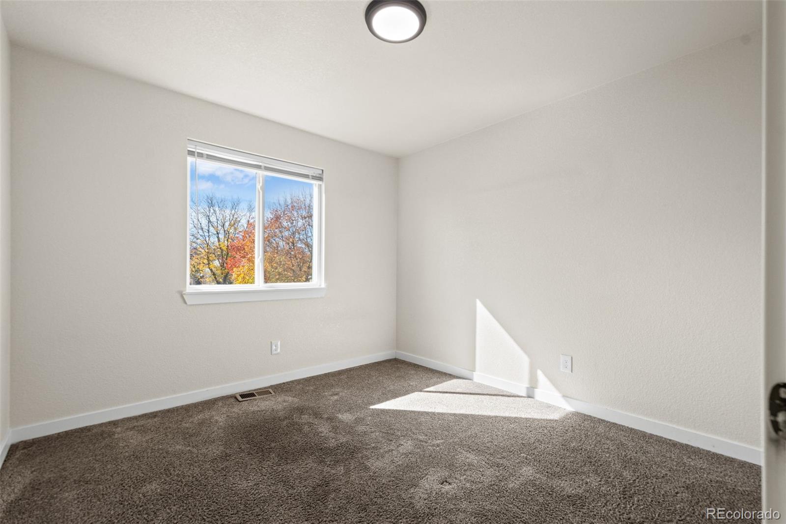 MLS Image #14 for 1543  feltham place,longmont, Colorado