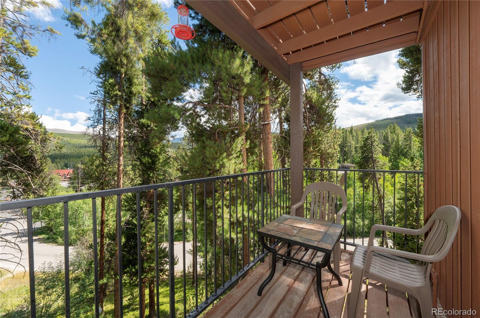 MLS Image #8 for 189  county road 702 ,winter park, Colorado