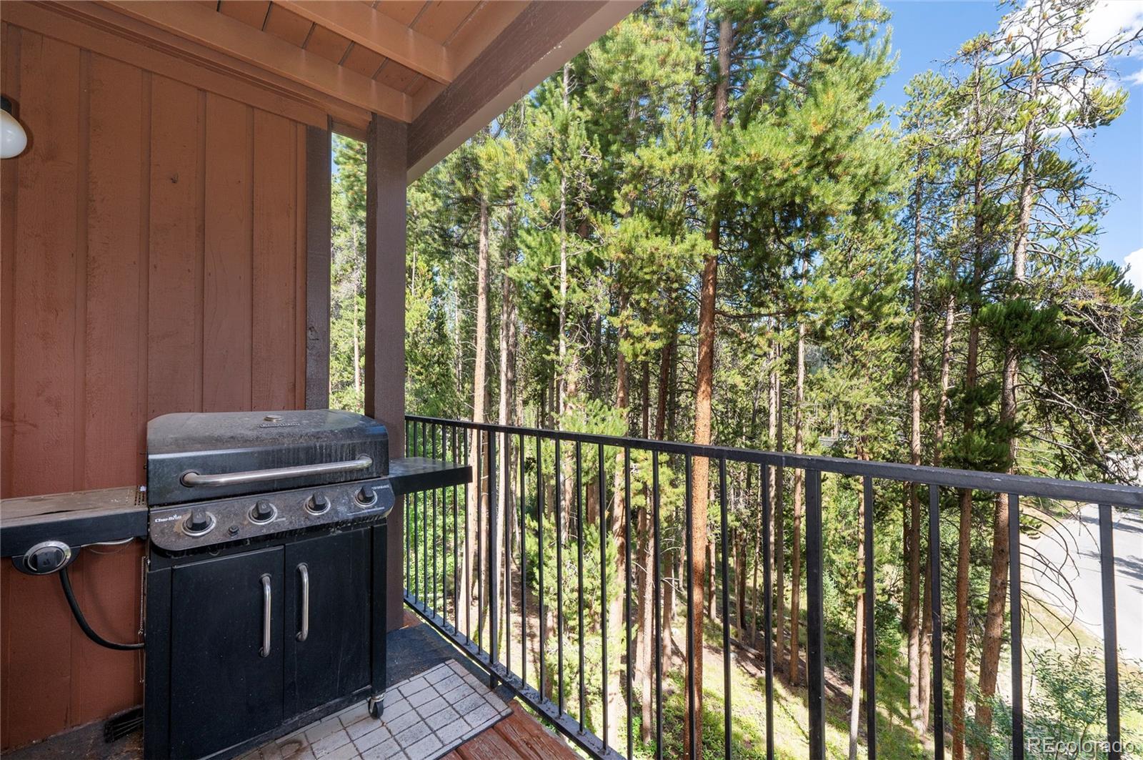 MLS Image #9 for 189  county road 702 ,winter park, Colorado