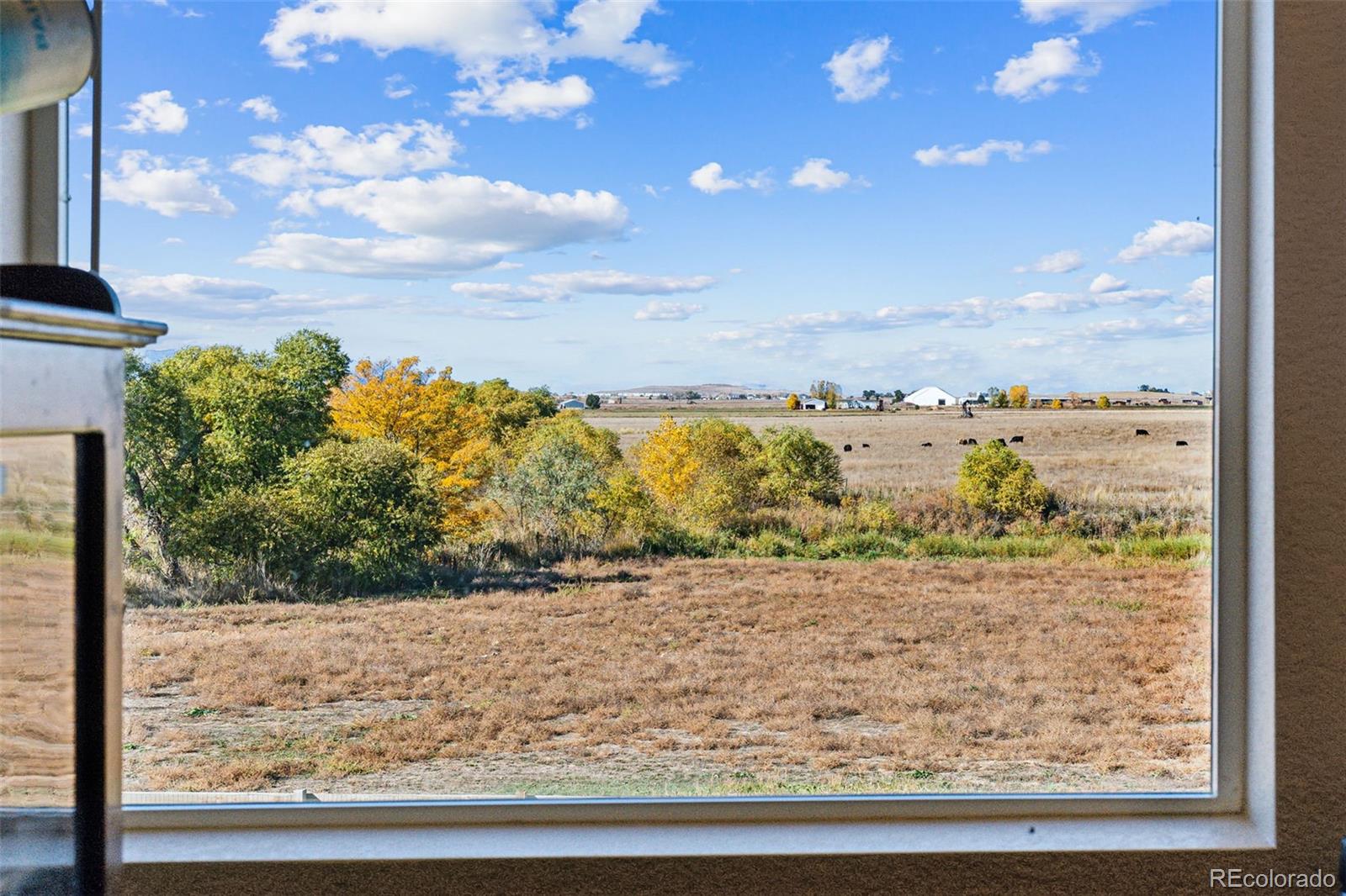 MLS Image #39 for 1073  county road 17 ,brighton, Colorado