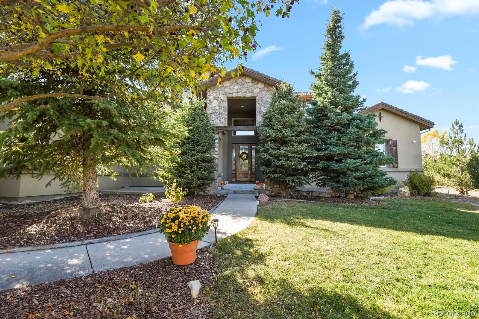 MLS Image #0 for 6297  ellingwood point way,castle rock, Colorado