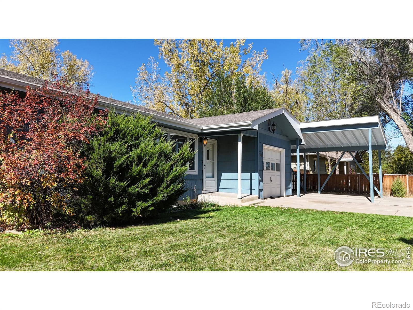 MLS Image #31 for 131  hartman street,fort collins, Colorado