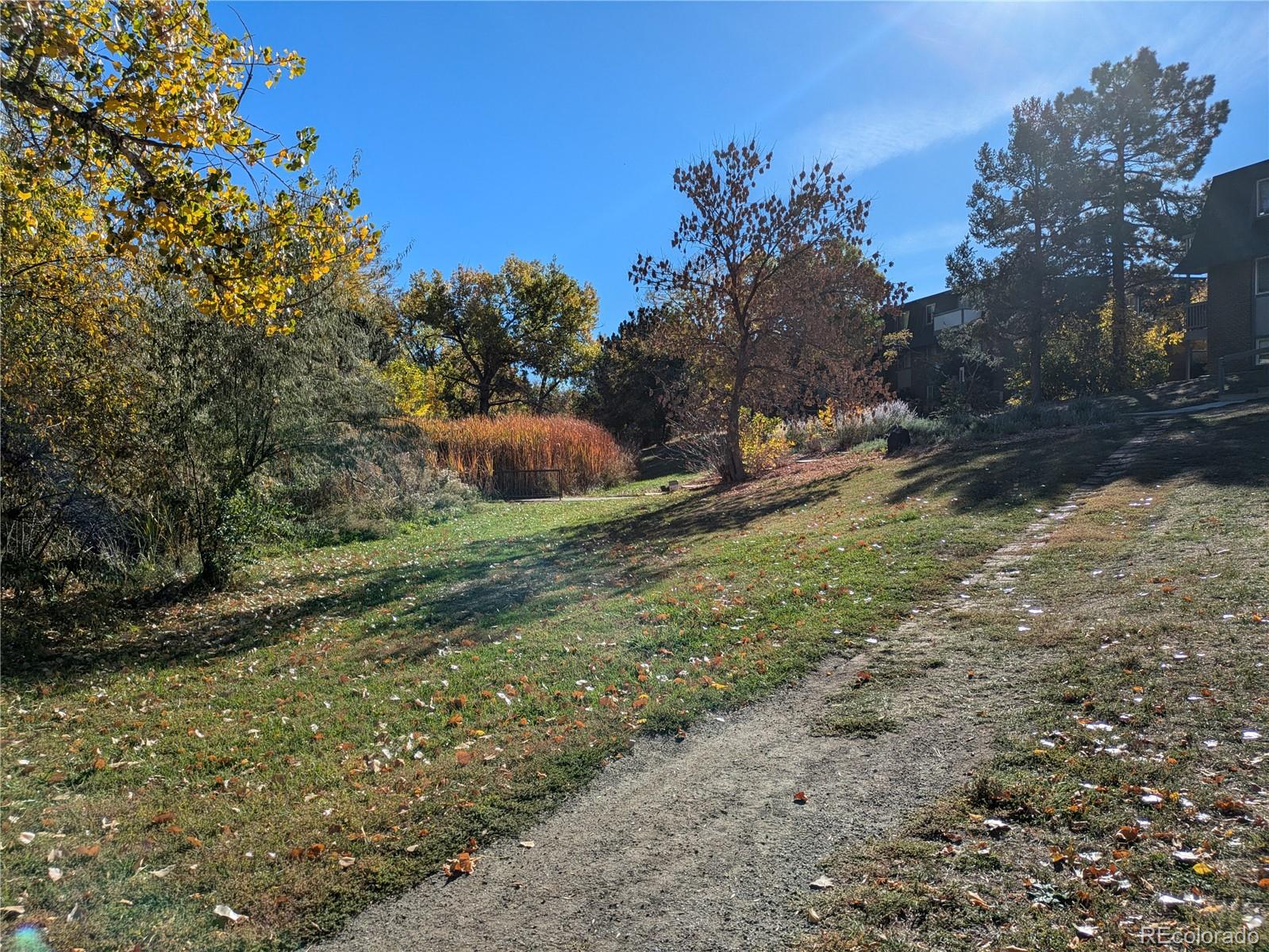 MLS Image #17 for 140 e highline circle,centennial, Colorado