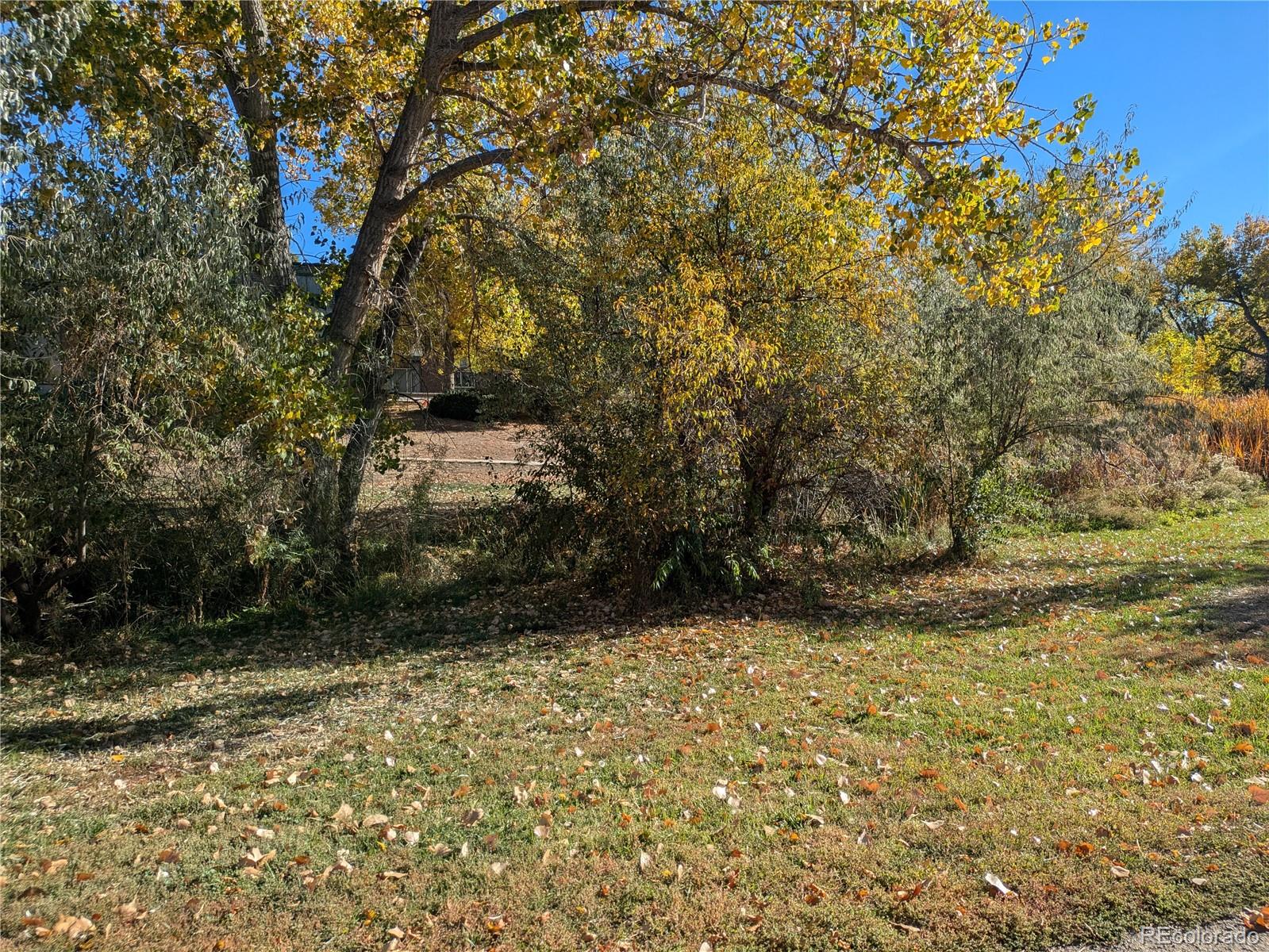 MLS Image #18 for 140 e highline circle,centennial, Colorado