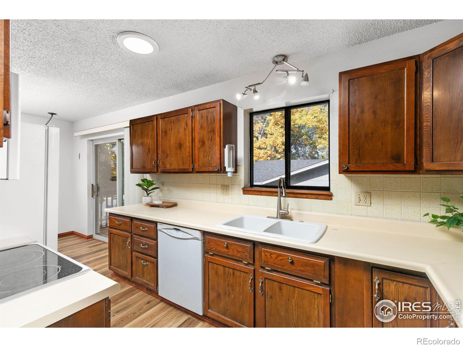 MLS Image #9 for 1130  juliana drive,loveland, Colorado