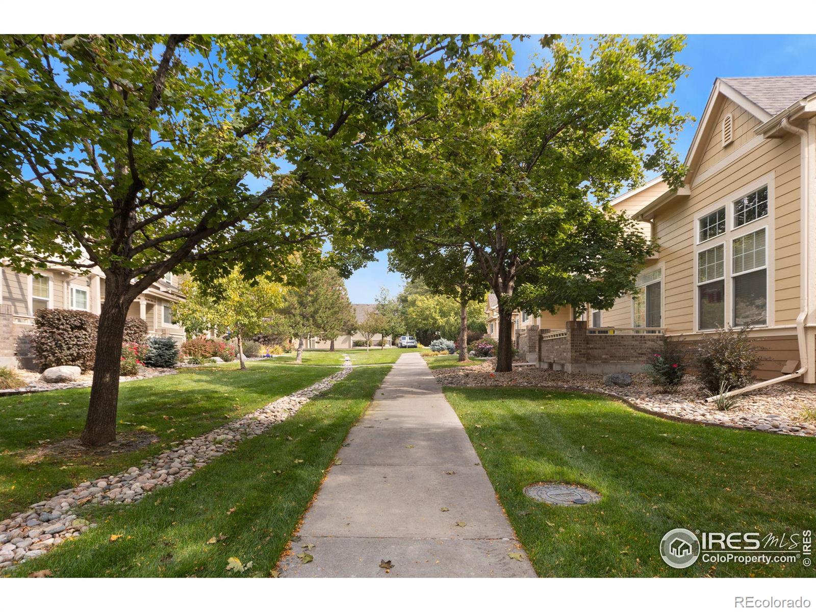 MLS Image #21 for 5226  cornerstone drive,fort collins, Colorado