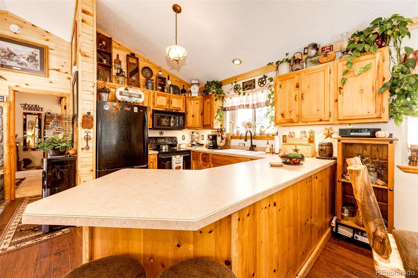 MLS Image #12 for 157  rudy drive,woodland park, Colorado