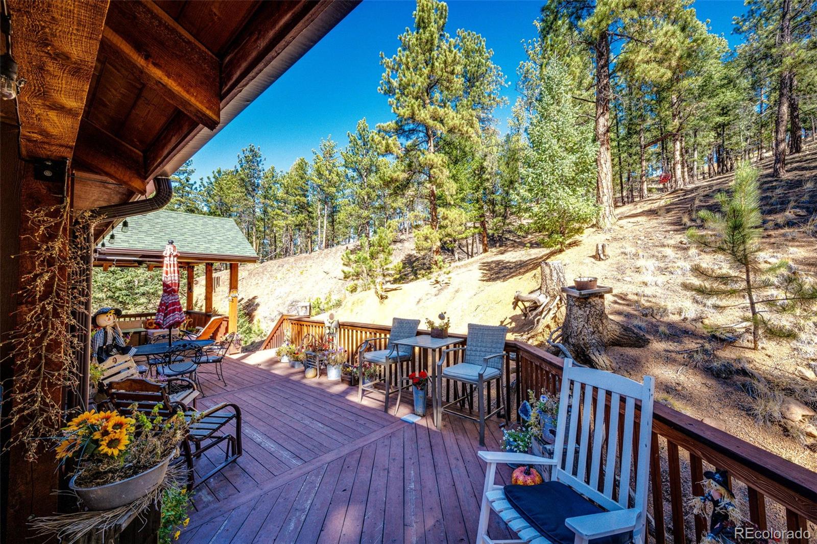 MLS Image #31 for 157  rudy drive,woodland park, Colorado