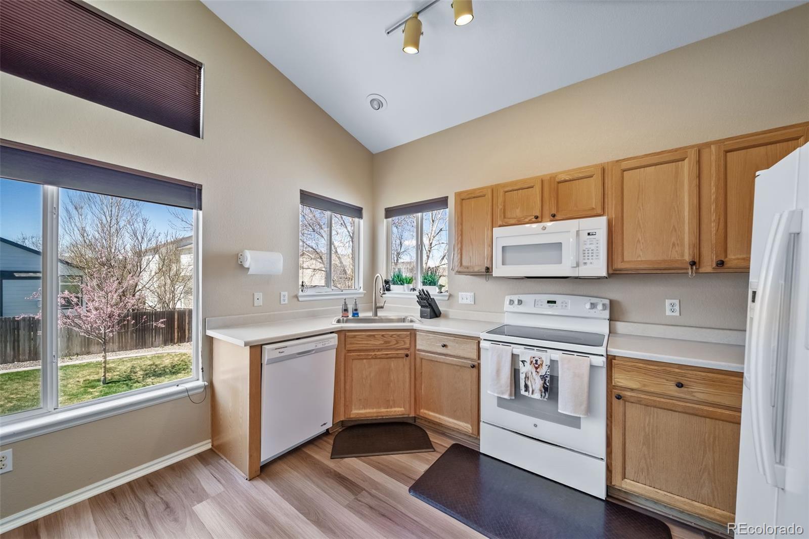 MLS Image #10 for 5189 s malta way,centennial, Colorado