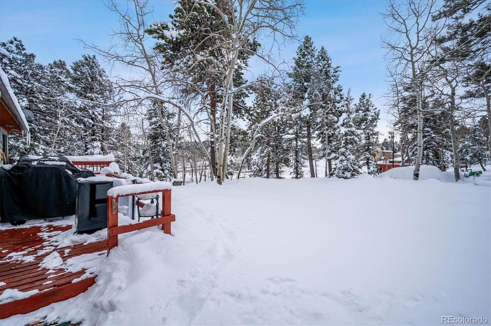 MLS Image #22 for 11953  us highway 285 ,conifer, Colorado