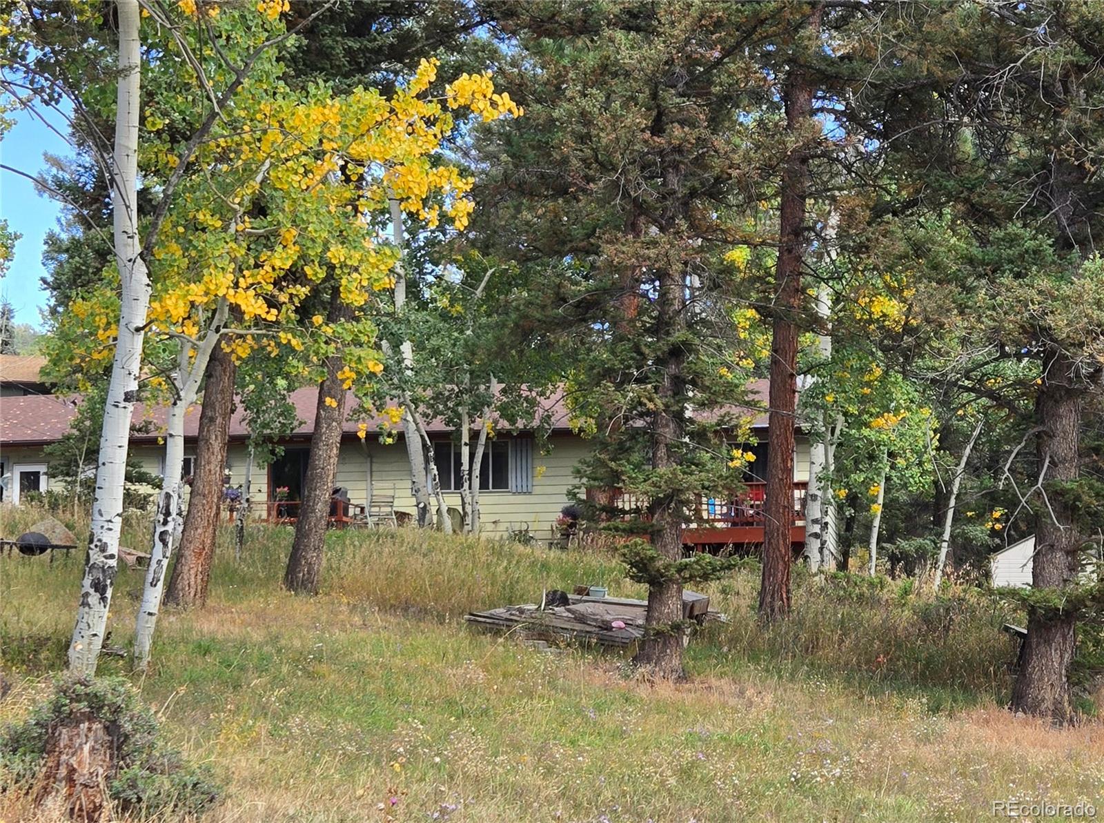 MLS Image #3 for 11953  us highway 285 ,conifer, Colorado