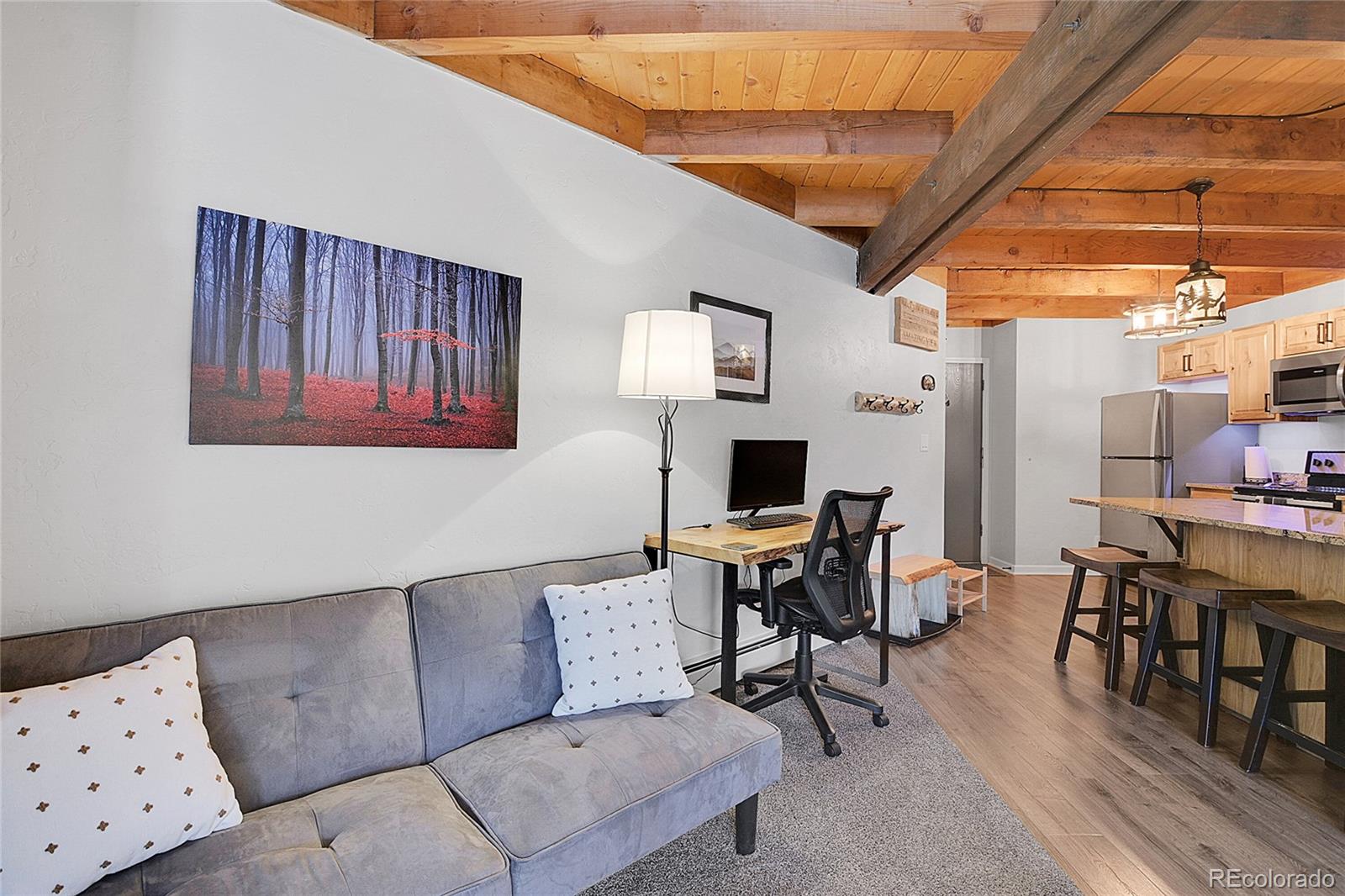 MLS Image #9 for 4400  lodgepole circle,silverthorne, Colorado