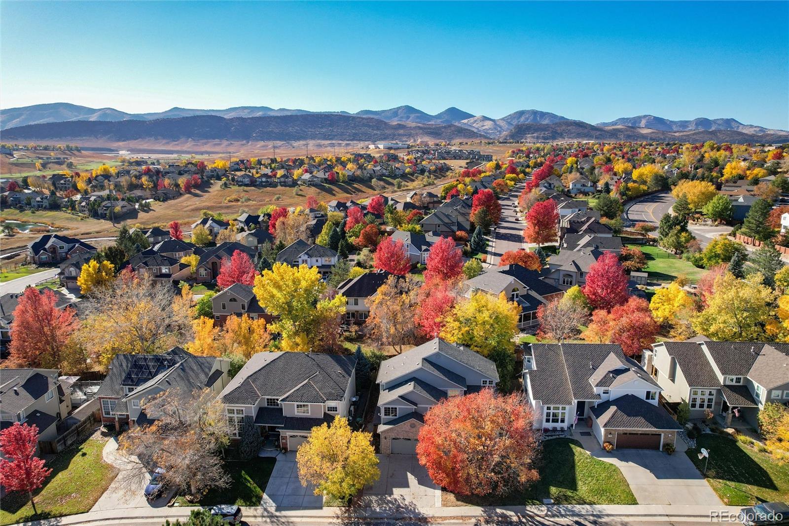 MLS Image #4 for 6731 s newcombe way,littleton, Colorado