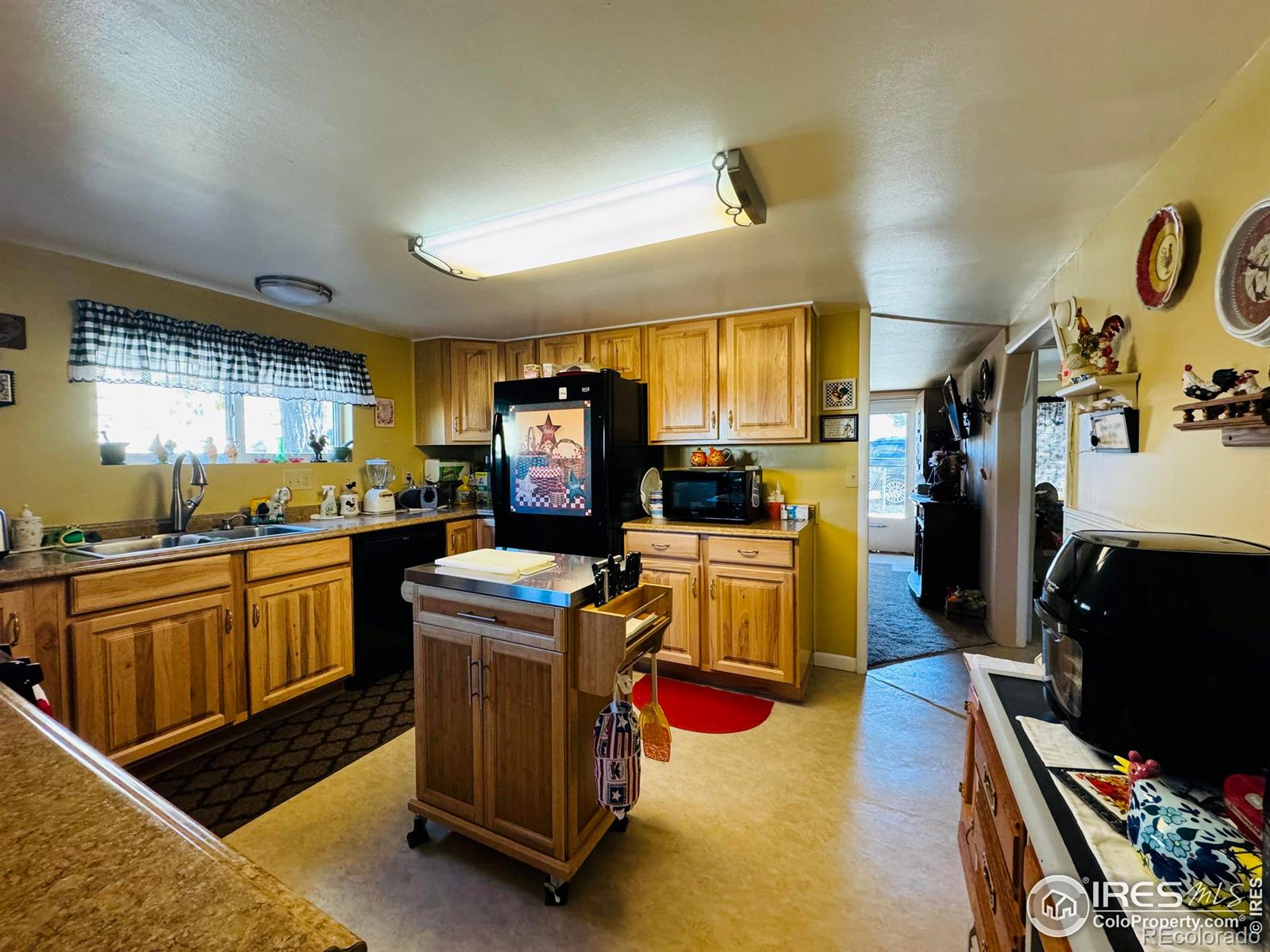 MLS Image #2 for 568  mckinley street,walden, Colorado