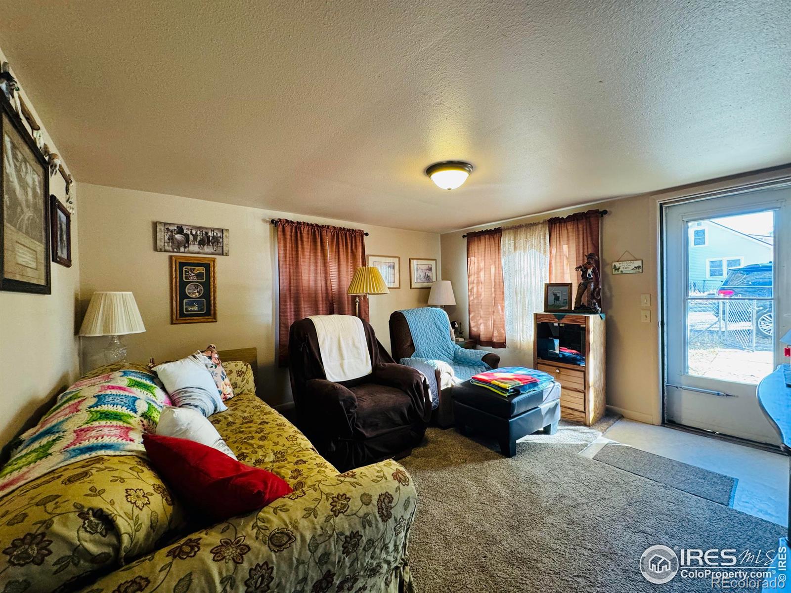 MLS Image #4 for 568  mckinley street,walden, Colorado