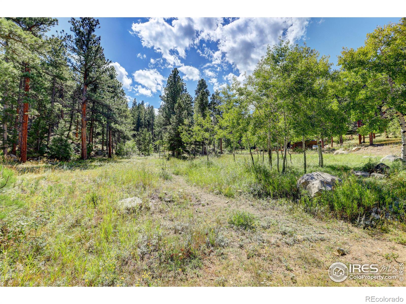 MLS Image #21 for 710  mcmillen way,nederland, Colorado