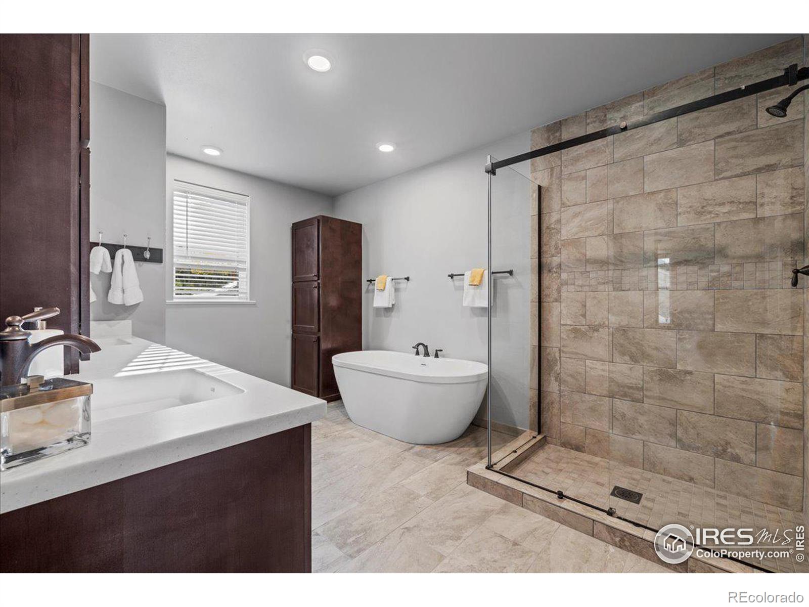 MLS Image #8 for 710  mcmillen way,nederland, Colorado