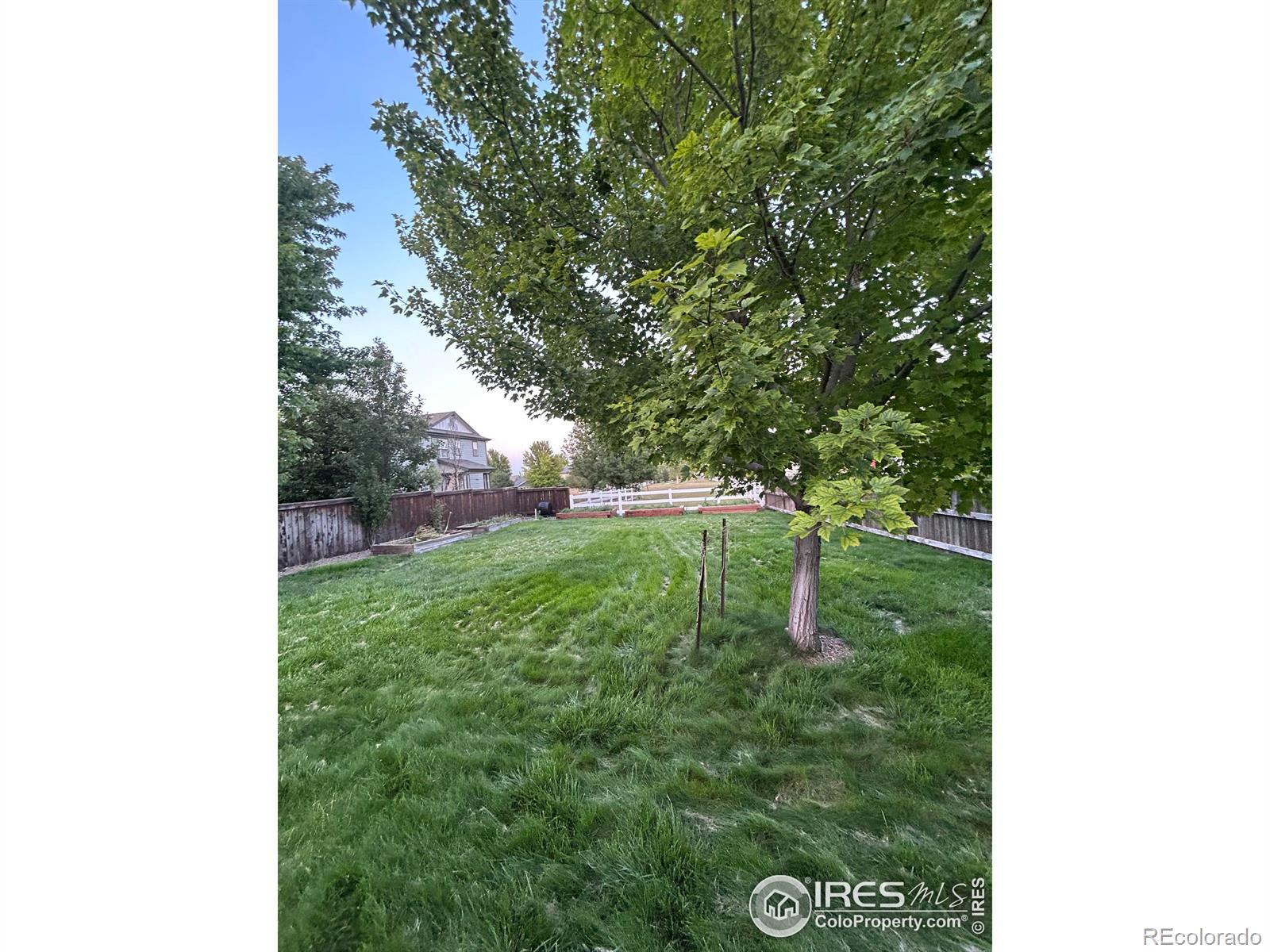 MLS Image #31 for 1508  wasp court,fort collins, Colorado