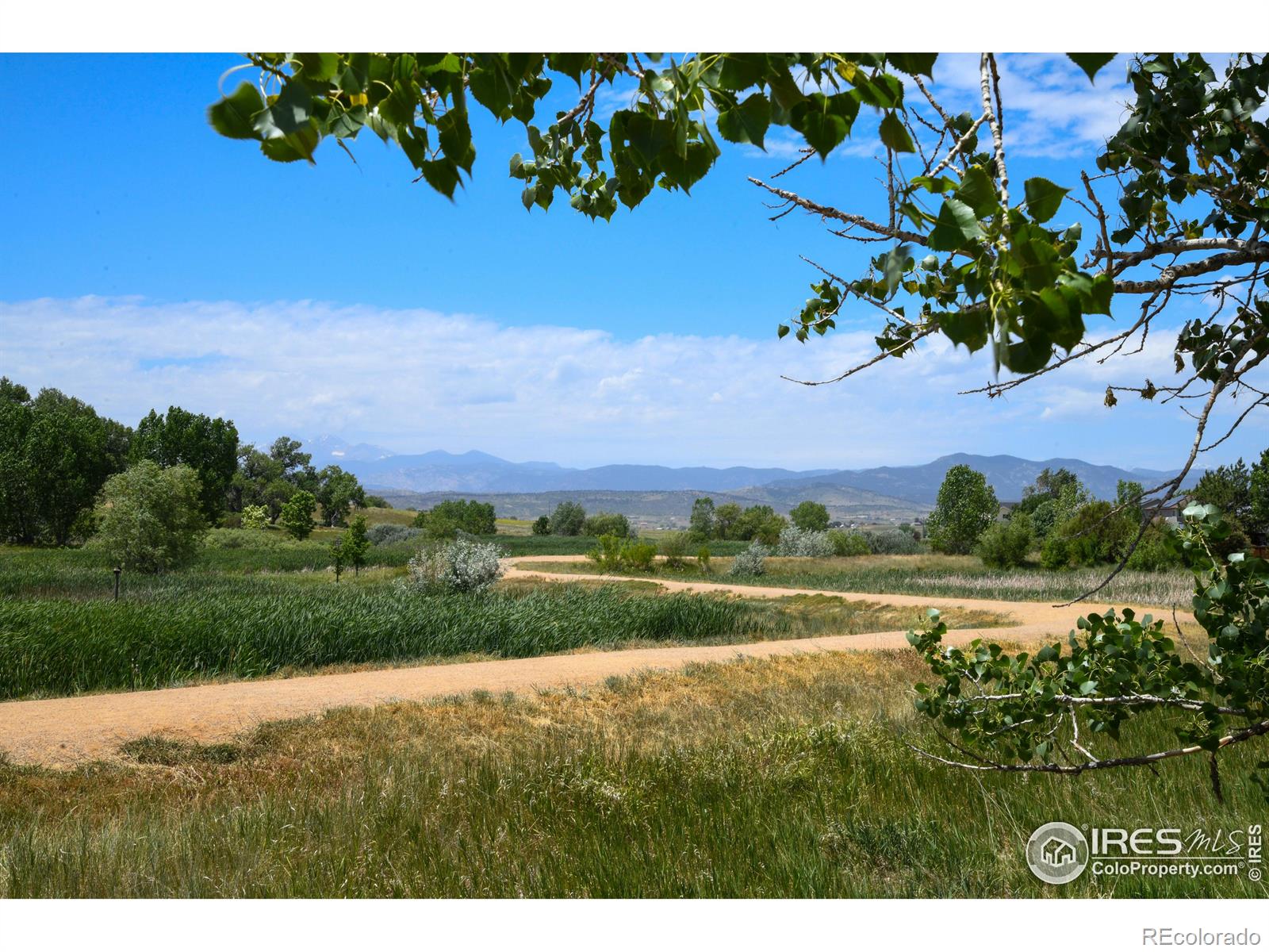 MLS Image #34 for 790  lowrey lane,berthoud, Colorado