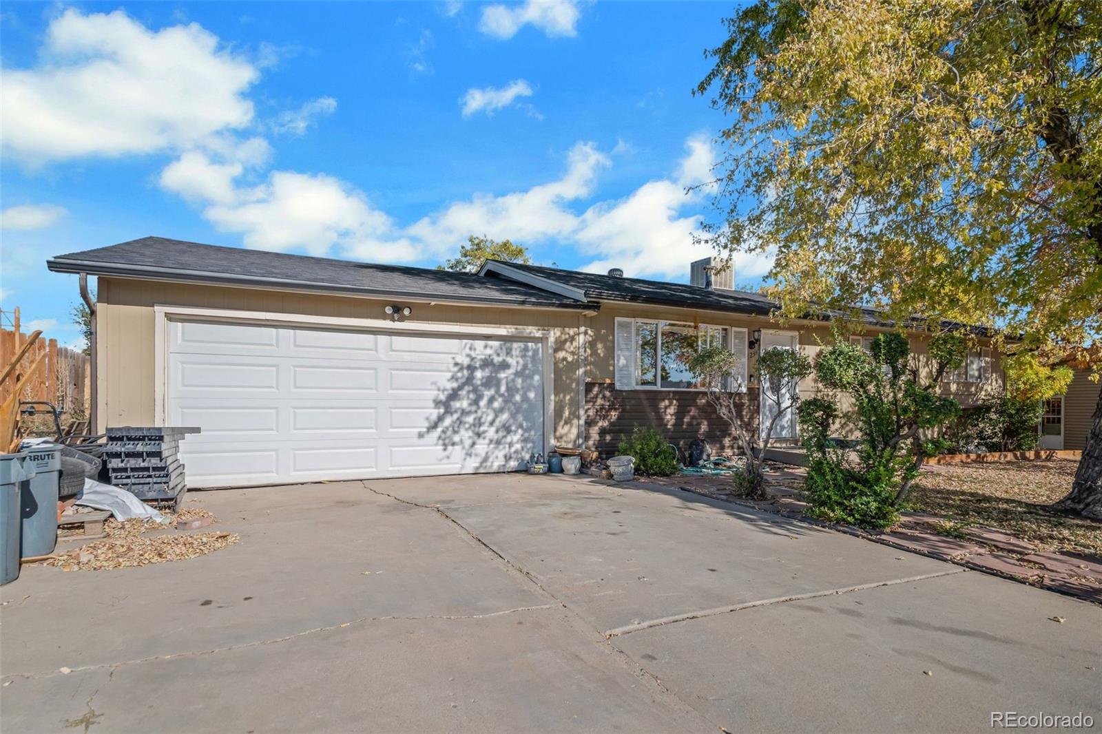 MLS Image #2 for 8234  ladean street,denver, Colorado