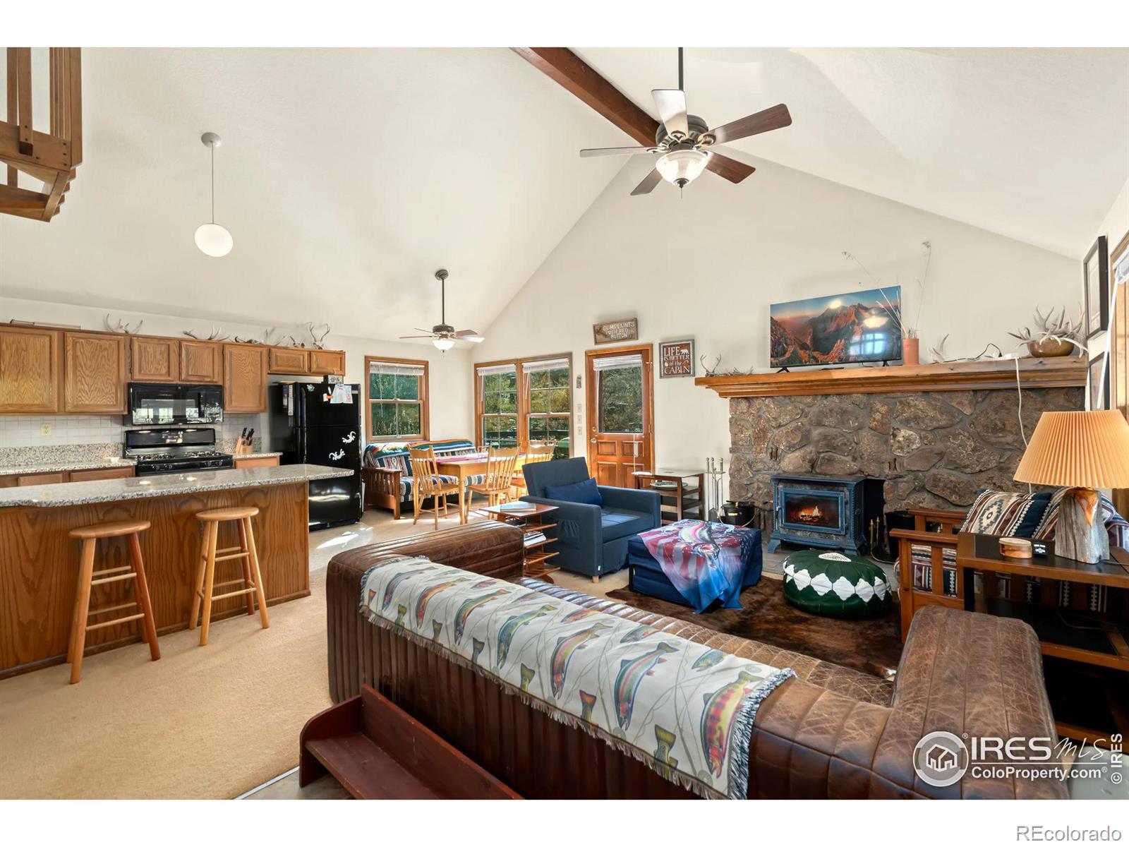 MLS Image #10 for 307  brewster lane,livermore, Colorado