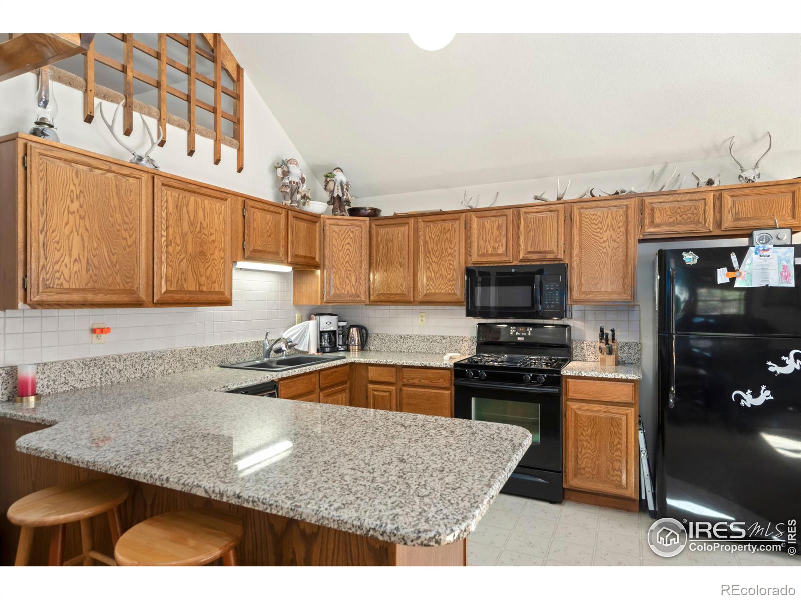 MLS Image #14 for 307  brewster lane,livermore, Colorado