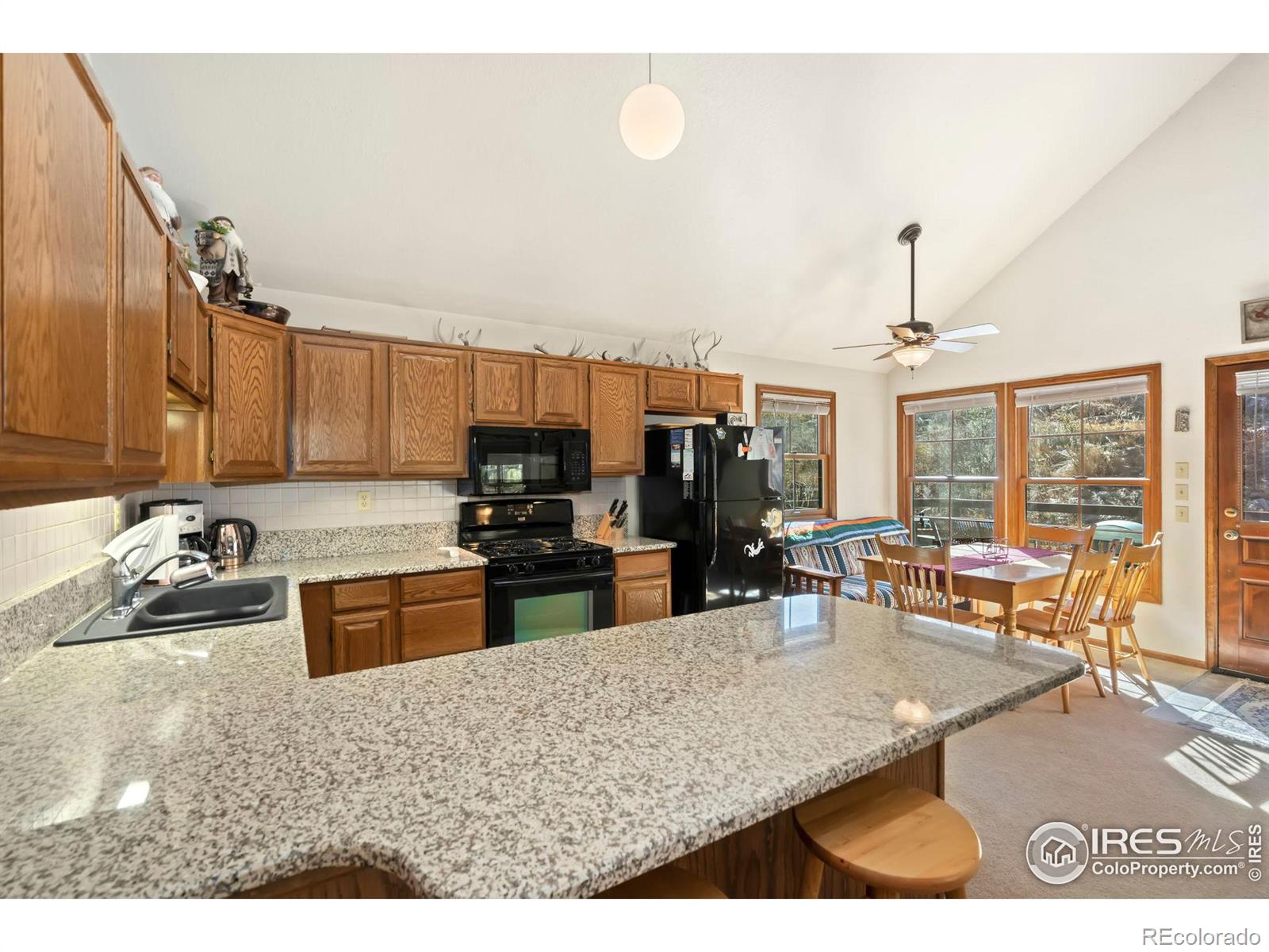 MLS Image #17 for 307  brewster lane,livermore, Colorado