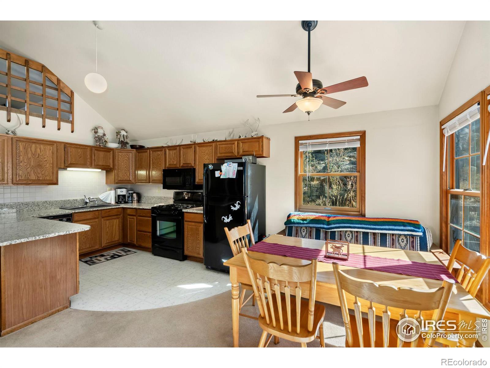 MLS Image #18 for 307  brewster lane,livermore, Colorado