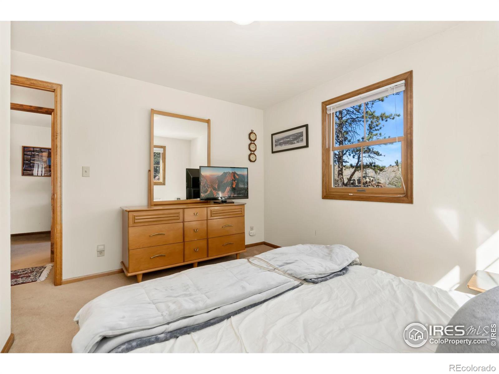 MLS Image #21 for 307  brewster lane,livermore, Colorado