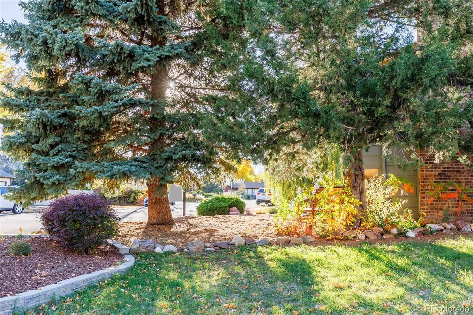 MLS Image #40 for 1609  cedar street,broomfield, Colorado