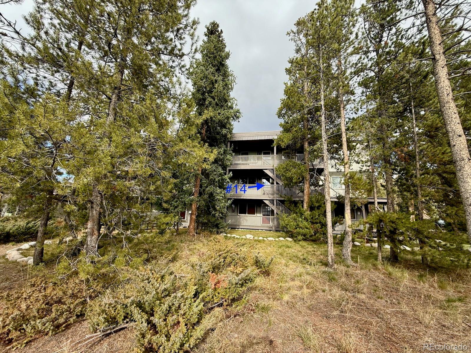 MLS Image #14 for 477  hi country drive,winter park, Colorado