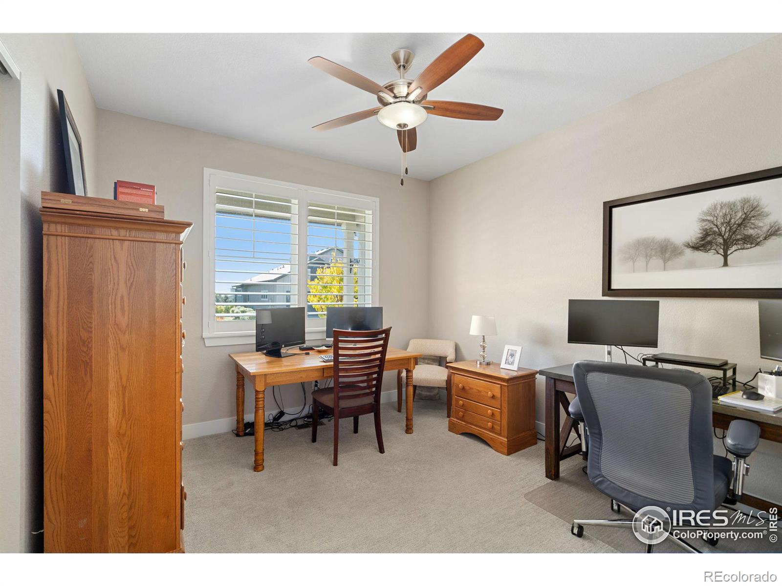 MLS Image #15 for 6968  byers court,timnath, Colorado