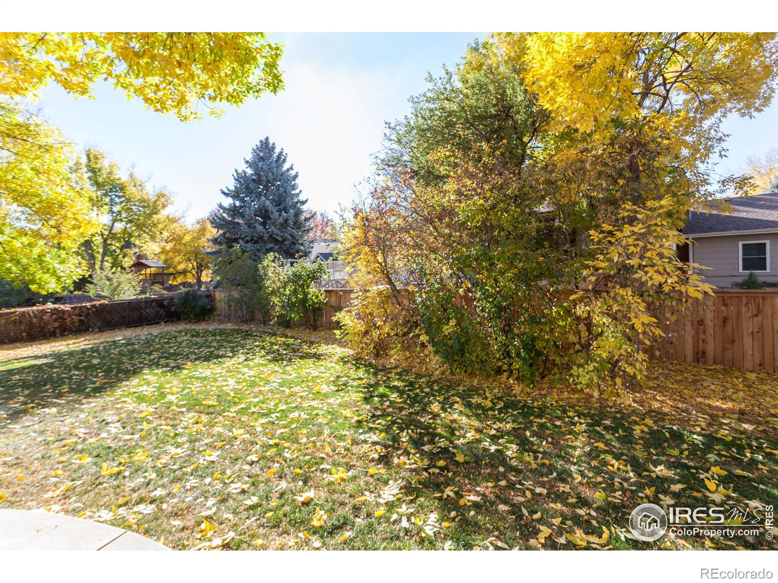 MLS Image #33 for 1201  mansfield drive,fort collins, Colorado