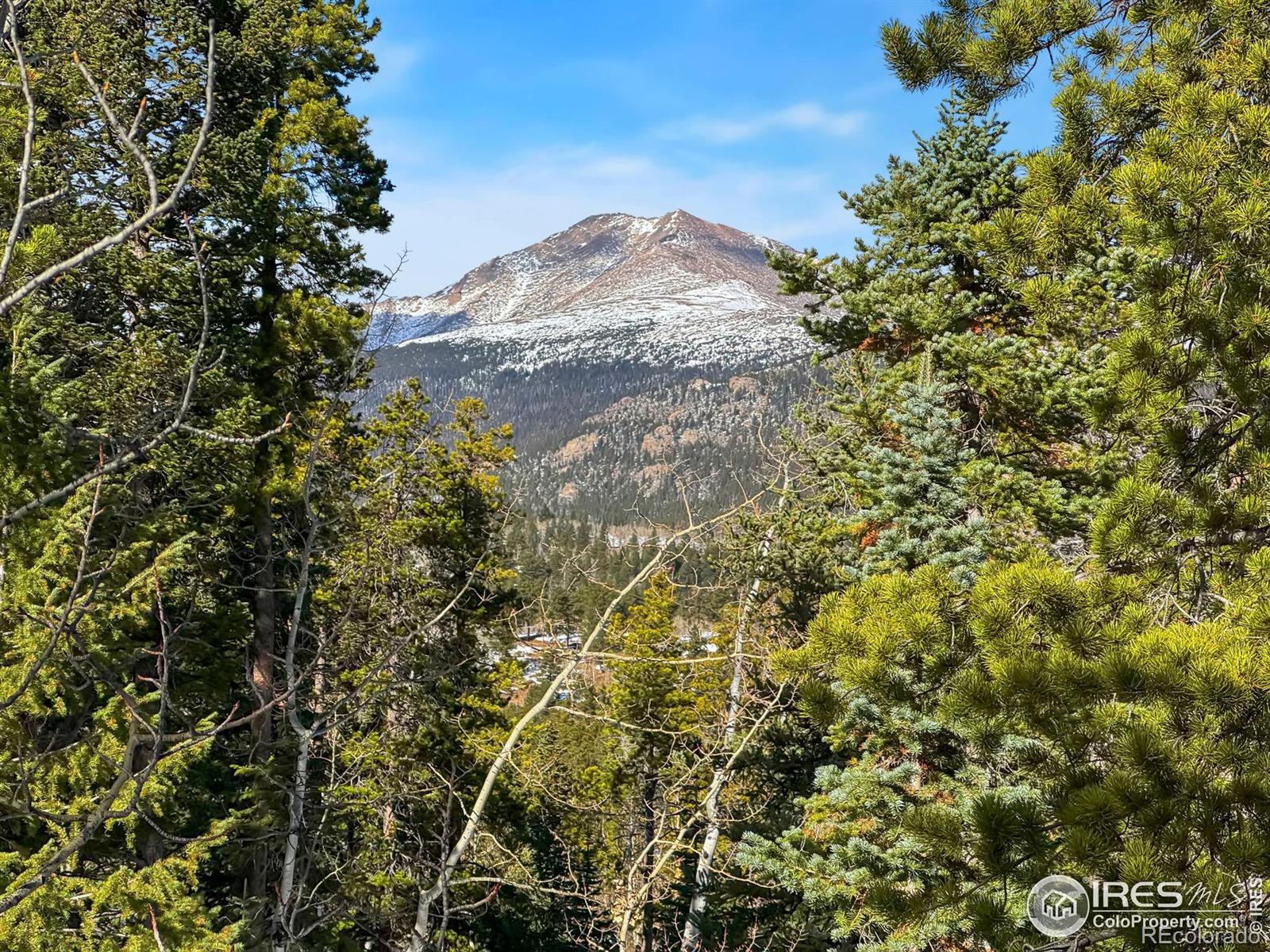 MLS Image #24 for 620  county road 90 ,allenspark, Colorado