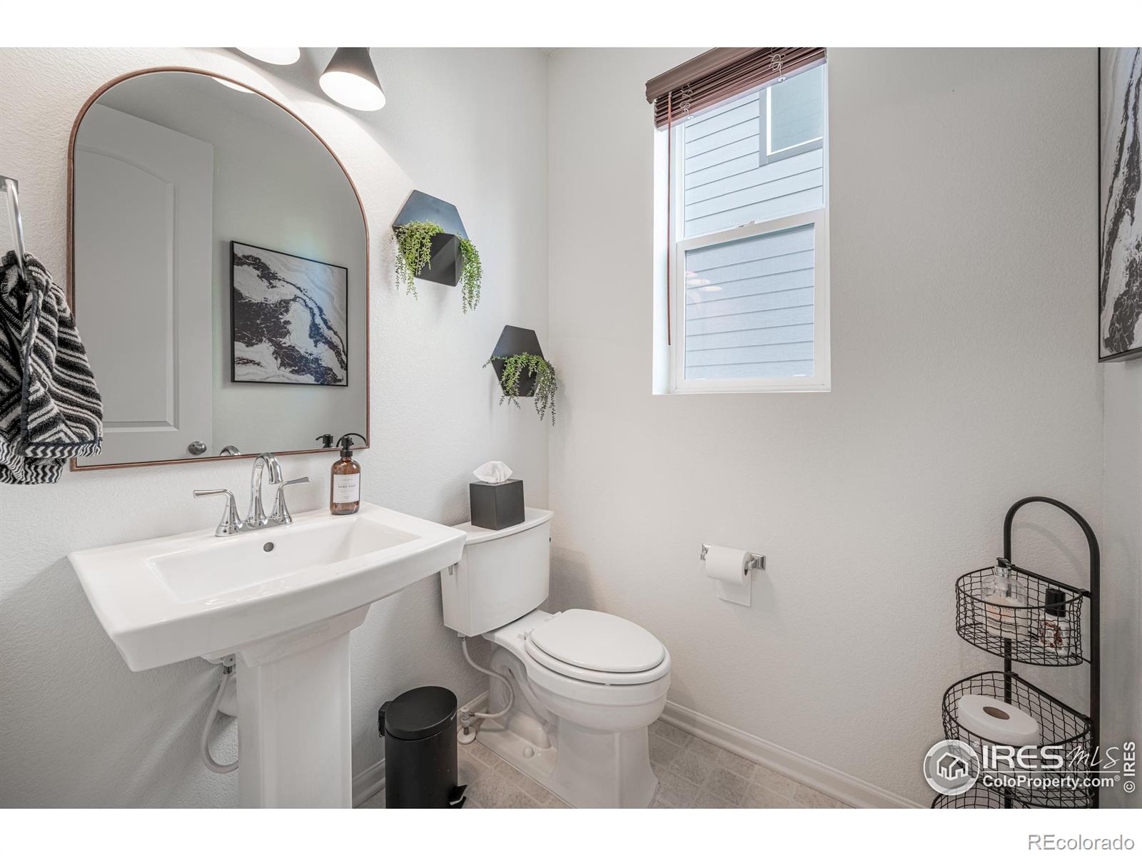 MLS Image #10 for 4428  waltham drive,windsor, Colorado