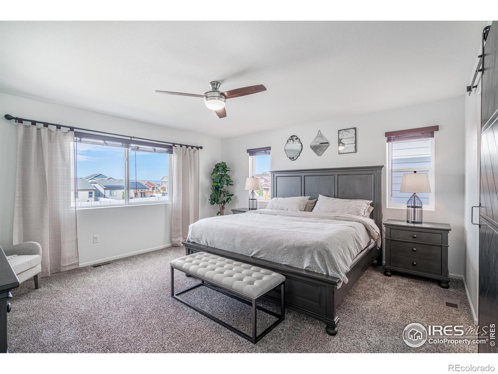 MLS Image #11 for 4428  waltham drive,windsor, Colorado