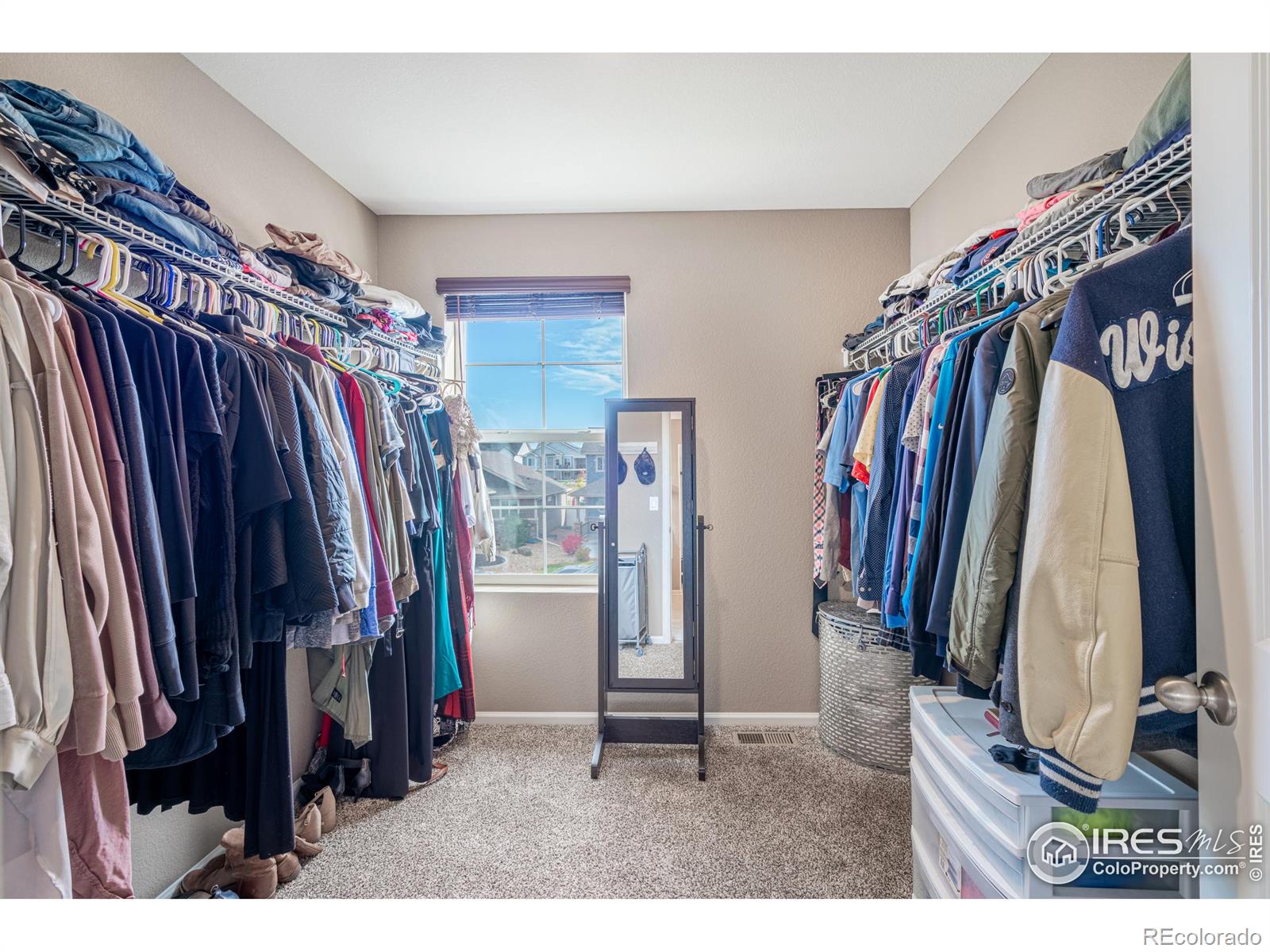 MLS Image #14 for 4428  waltham drive,windsor, Colorado