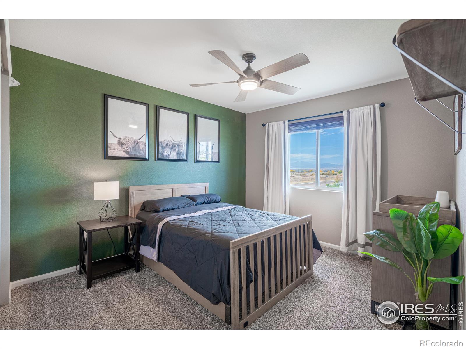 MLS Image #15 for 4428  waltham drive,windsor, Colorado