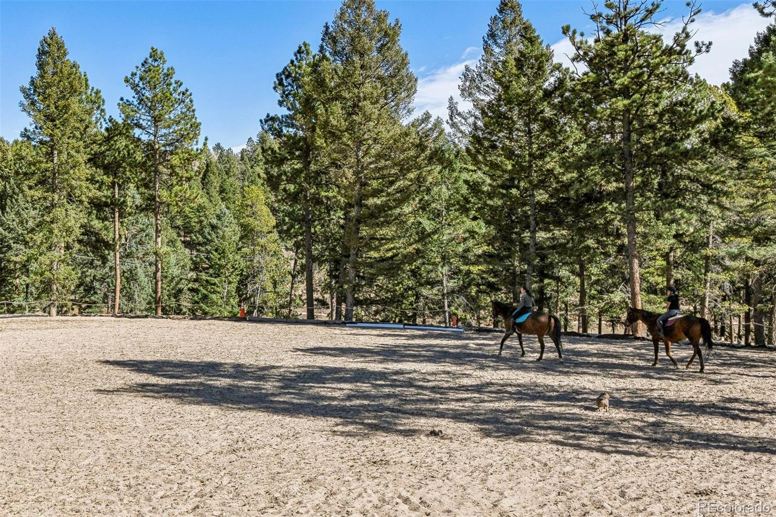 MLS Image #34 for 12743 s wamblee valley road,conifer, Colorado