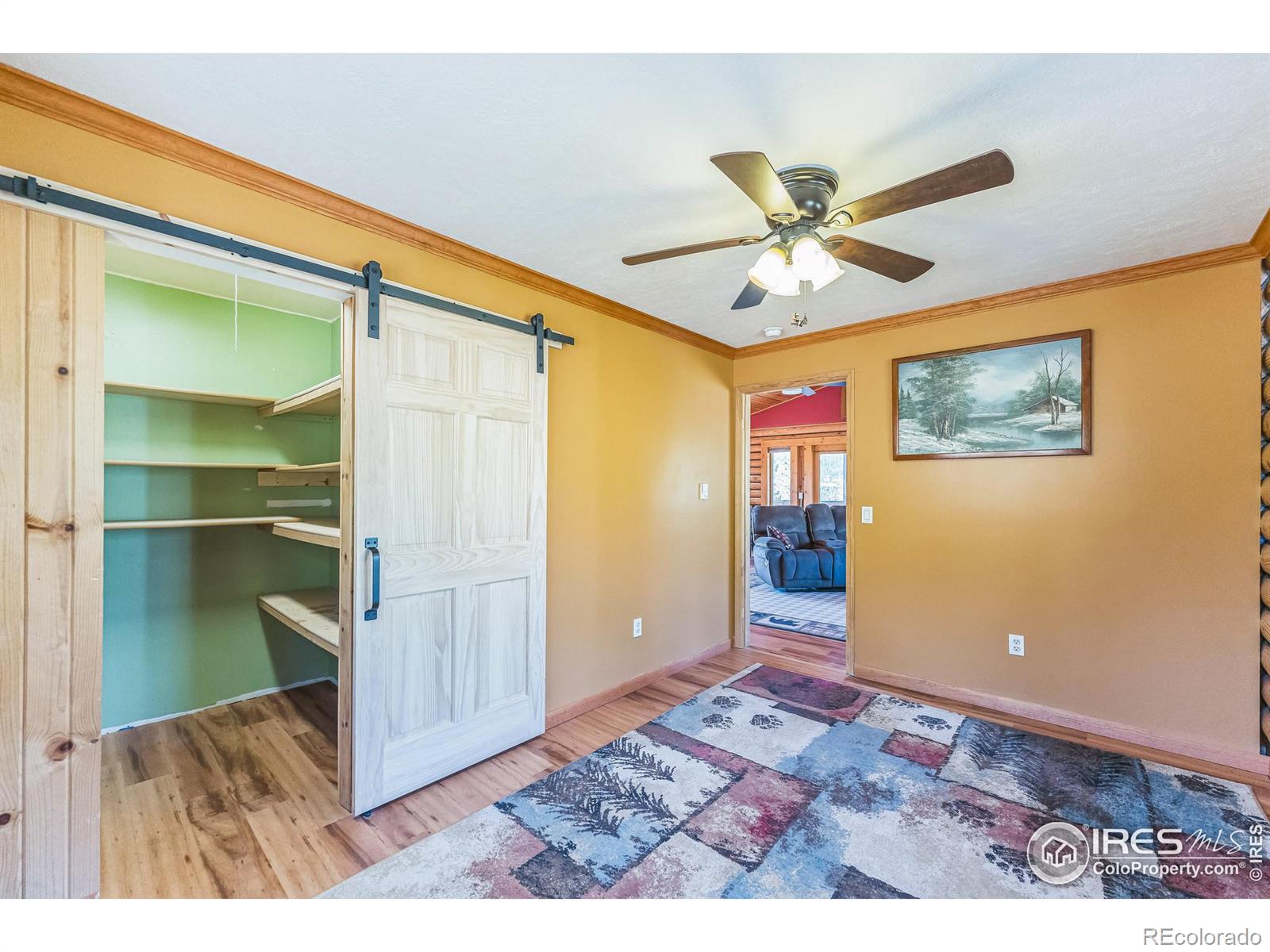 MLS Image #13 for 528  micmac drive,red feather lakes, Colorado