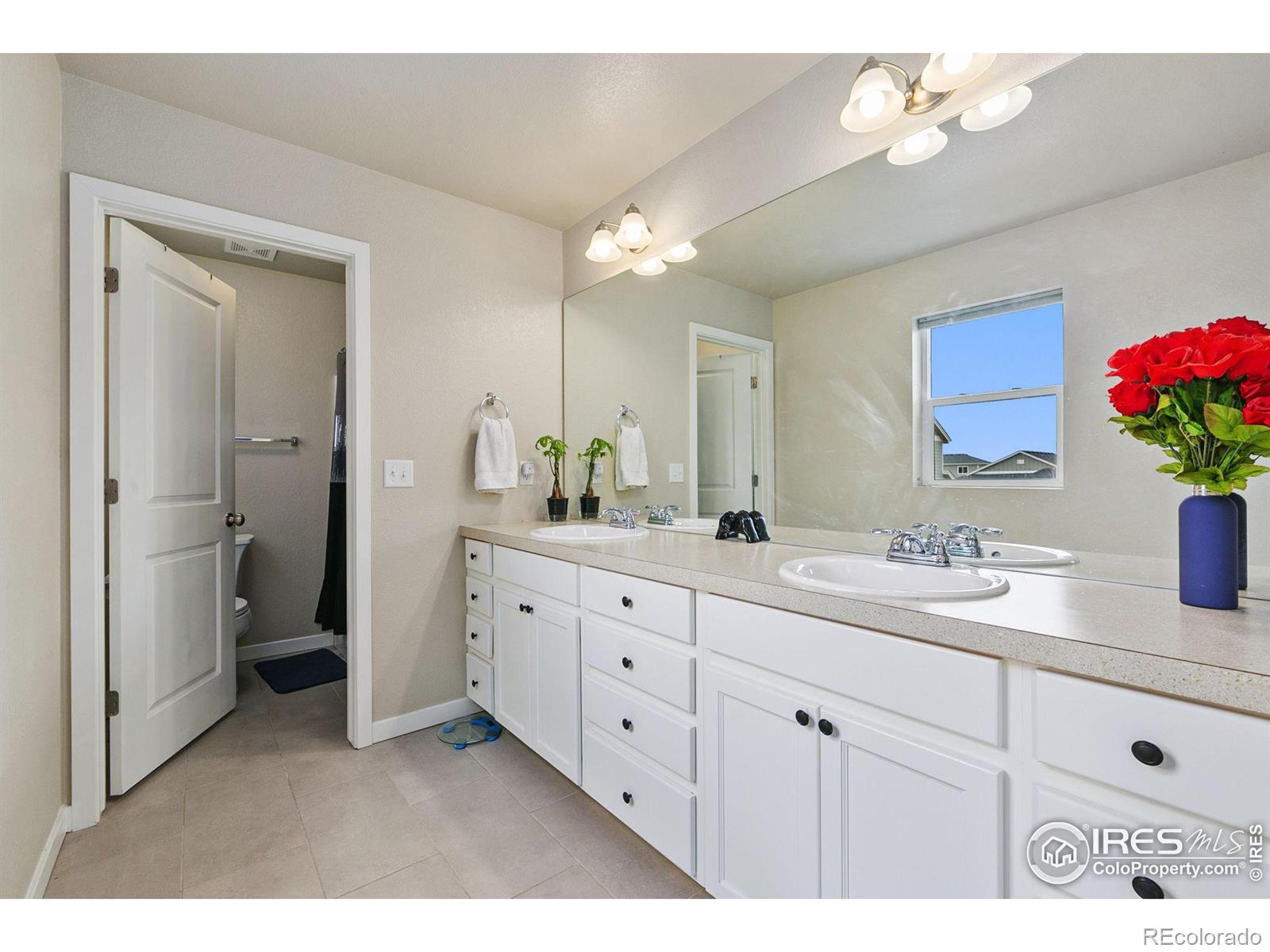 MLS Image #10 for 3926  peach street,wellington, Colorado