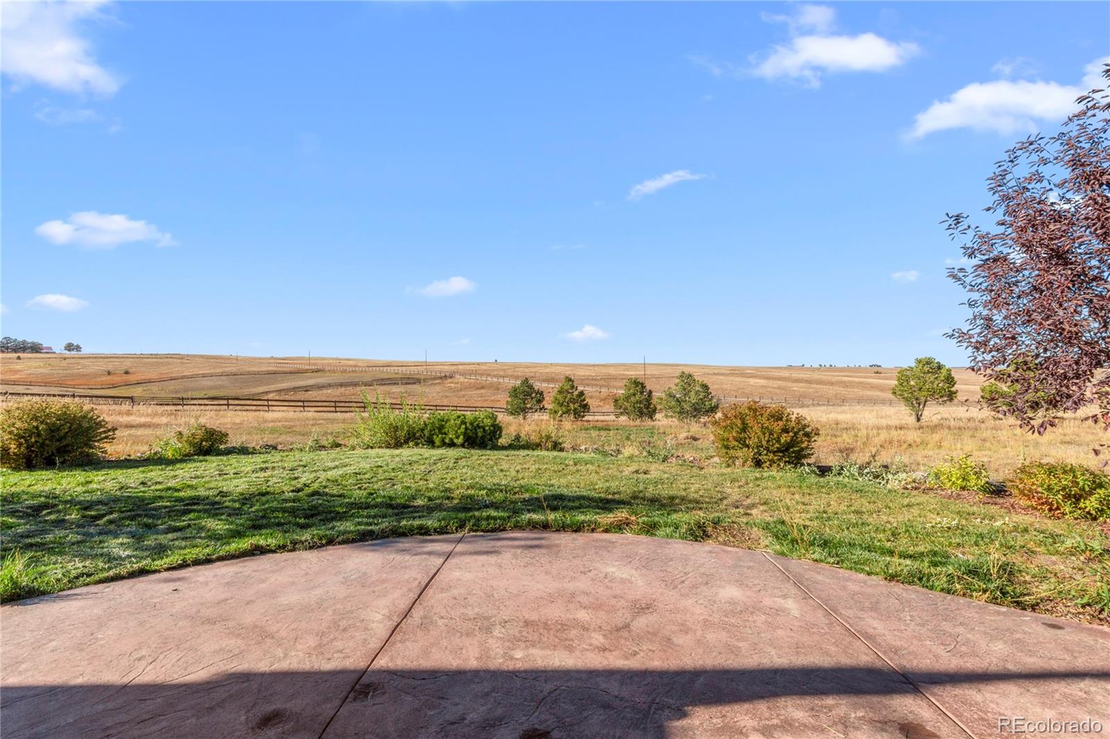 MLS Image #40 for 6740  country estates lane,colorado springs, Colorado