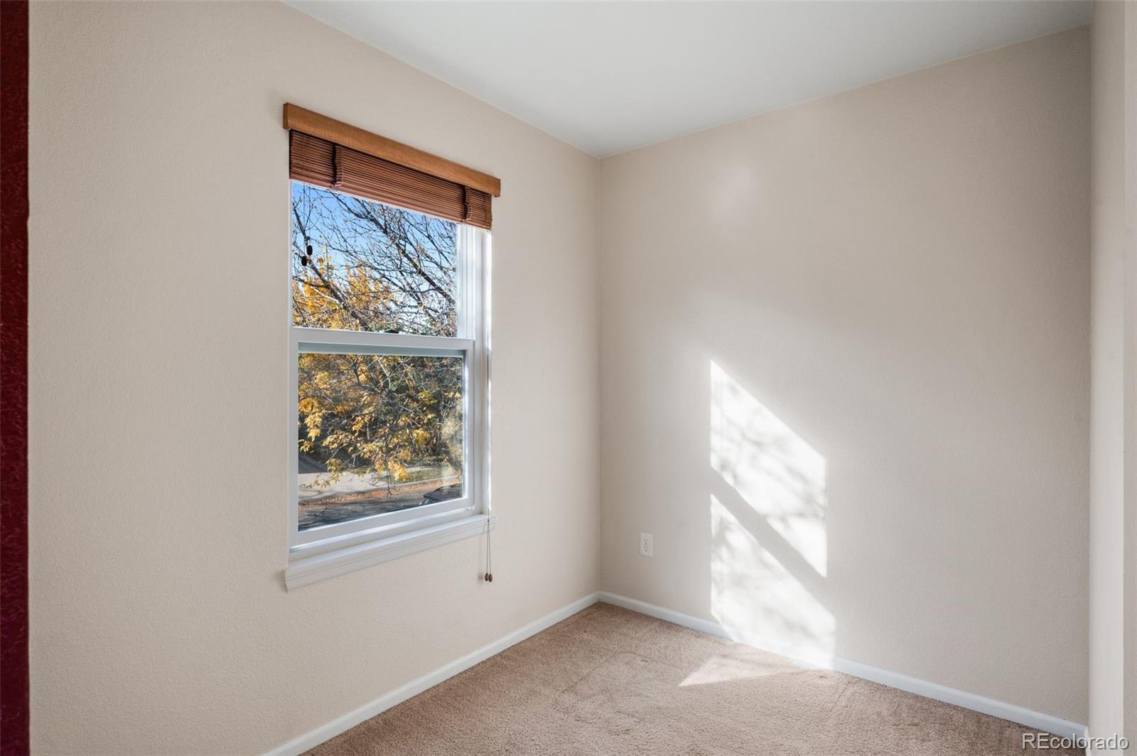 MLS Image #16 for 526  tanager street,brighton, Colorado